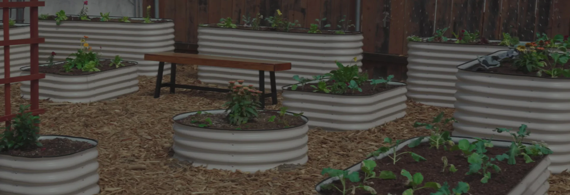 Cultivate Your Urban Oasis