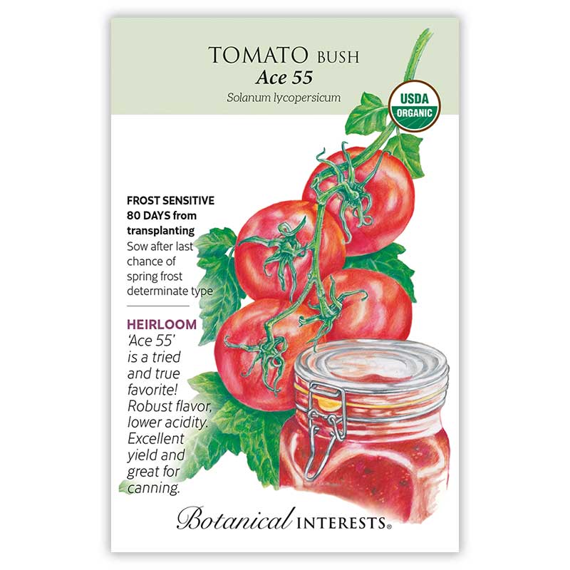 Ace 55 Bush Tomato Seeds - Image 3
