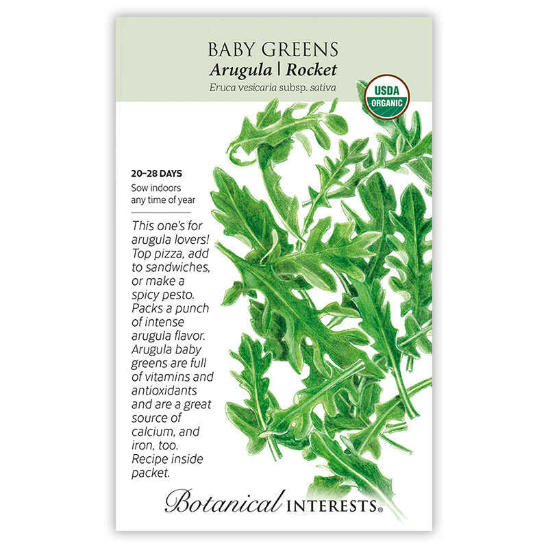 Arugula Baby Greens Seeds - Image 3