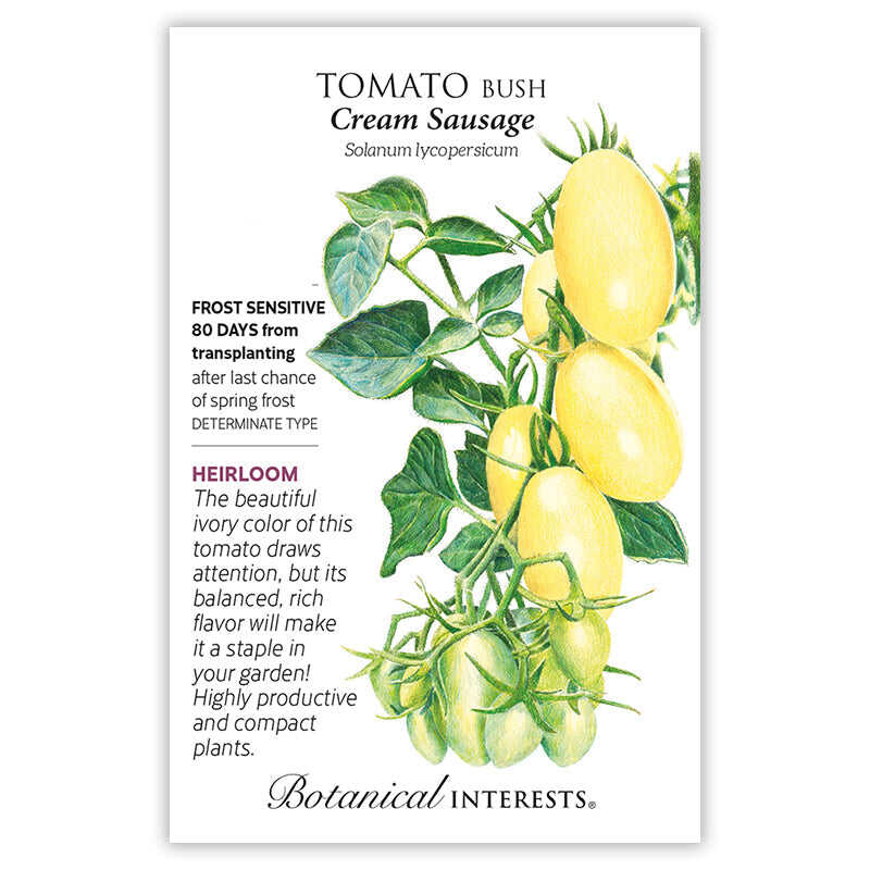 Cream Sausage Bush Tomato Seeds - Image 3