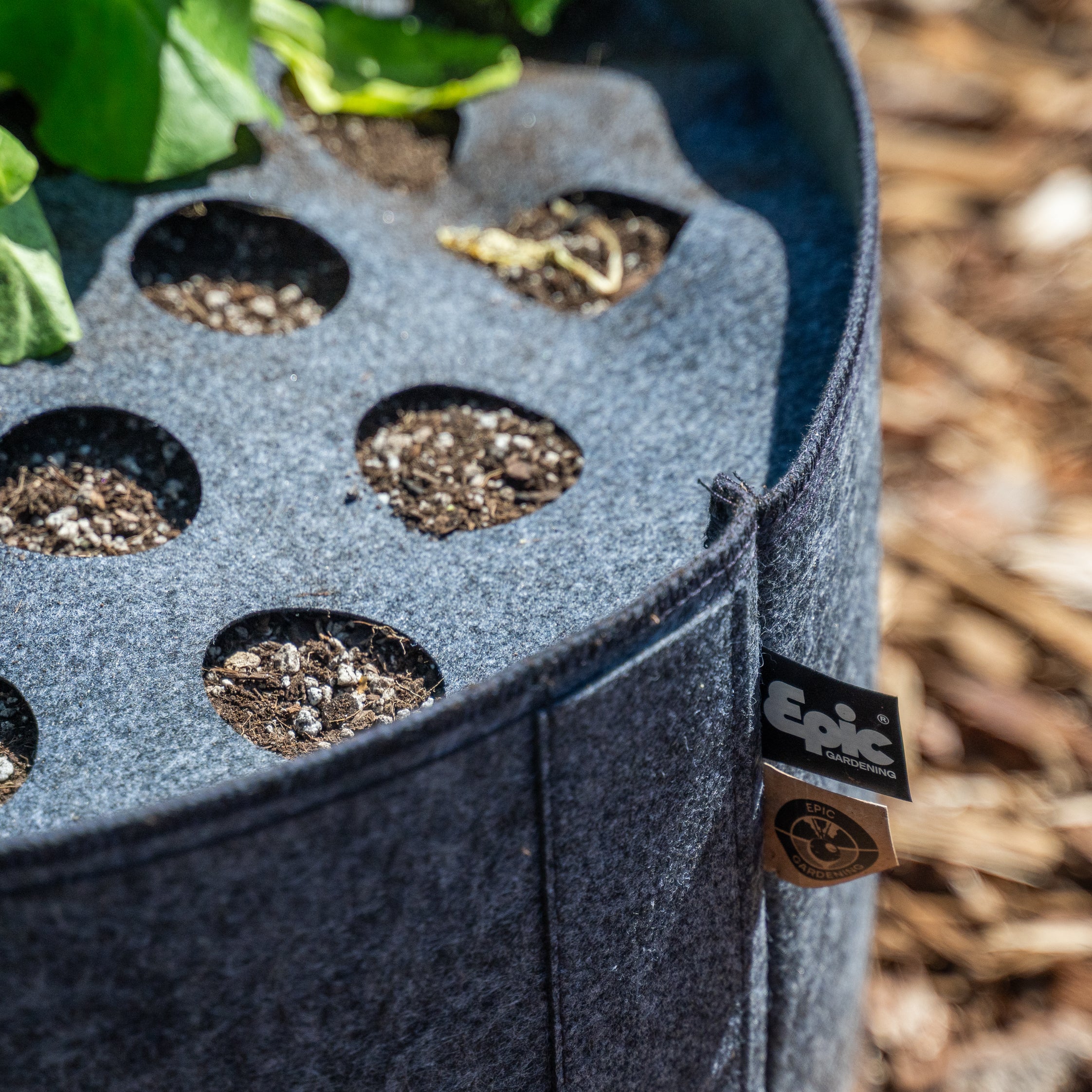 Plantable Fabric Covers - Image 7