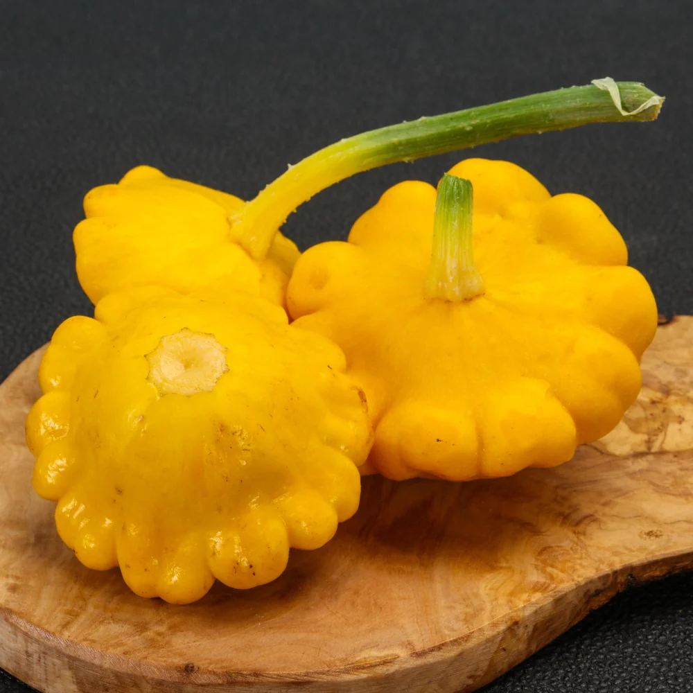 Gelber Englischer Summer (Patty Pan) Squash Seeds - Image 4