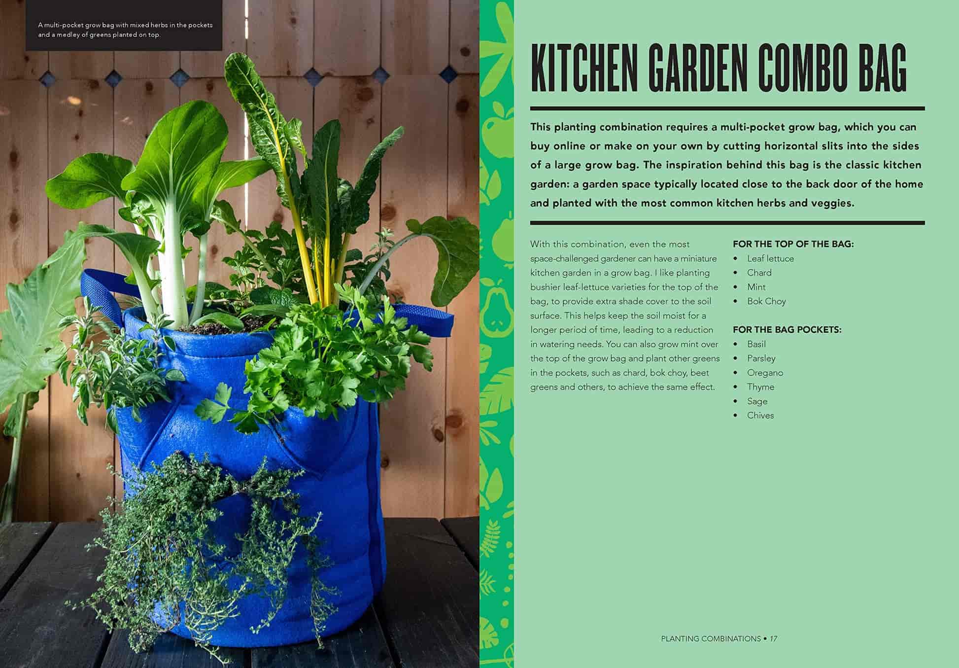 Grow Bag Gardening - Image 4