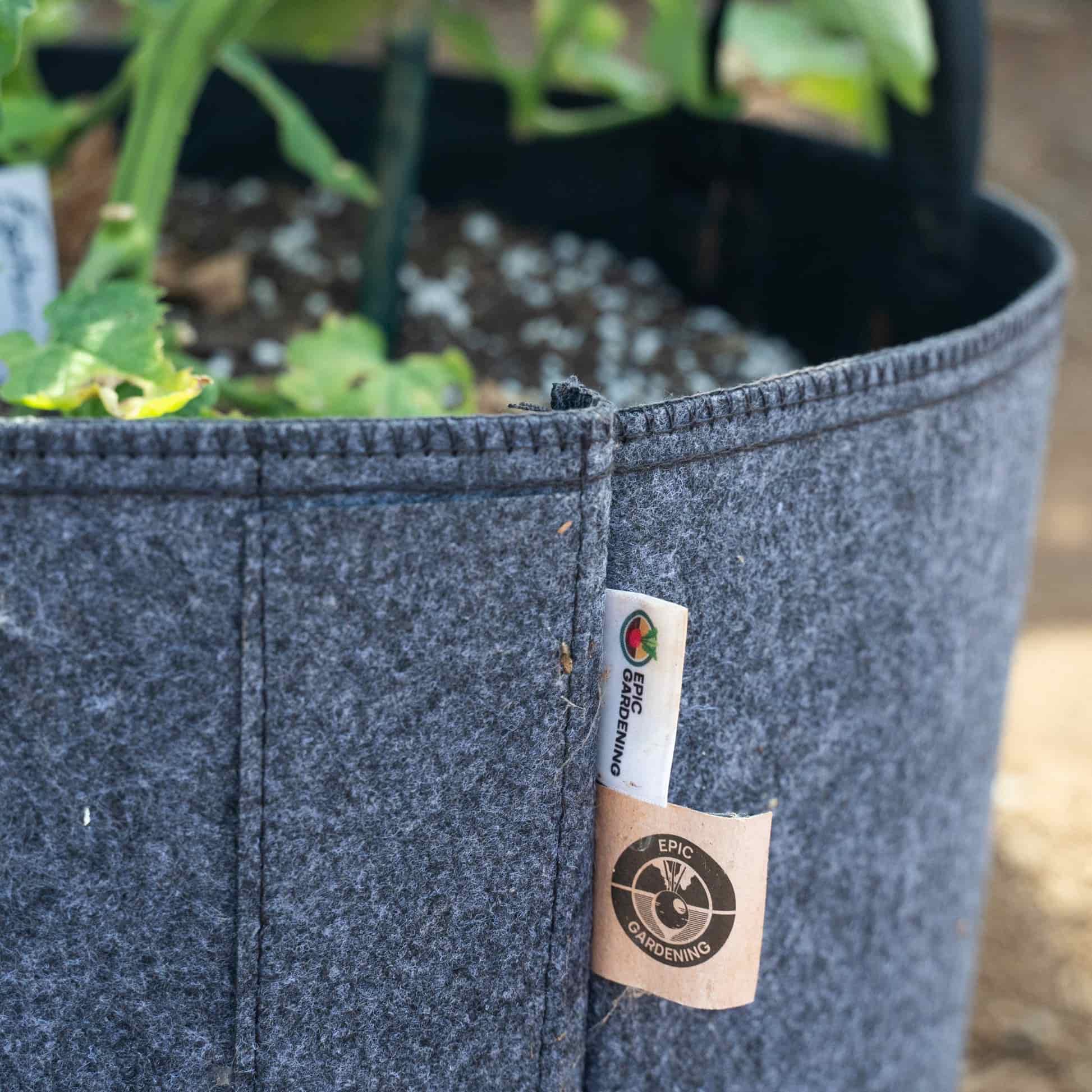 Epic Grow Bags - Lined - Image 8