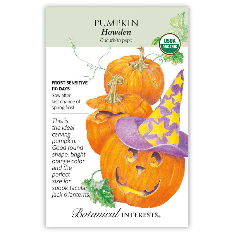Howden Pumpkin Seeds - Image 3