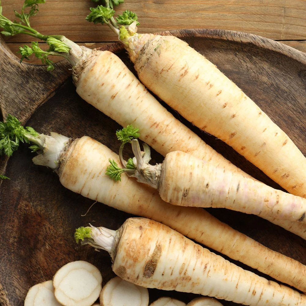 Javelin Parsnip Seeds - Image 4