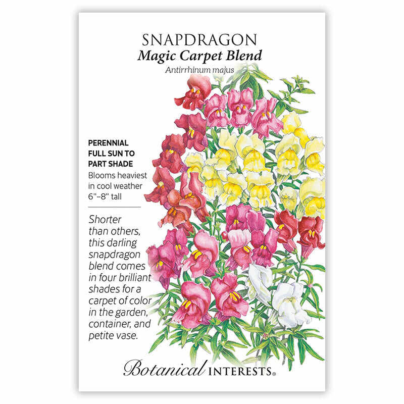 Magic Carpet Blend Snapdragon Seeds - Image 3