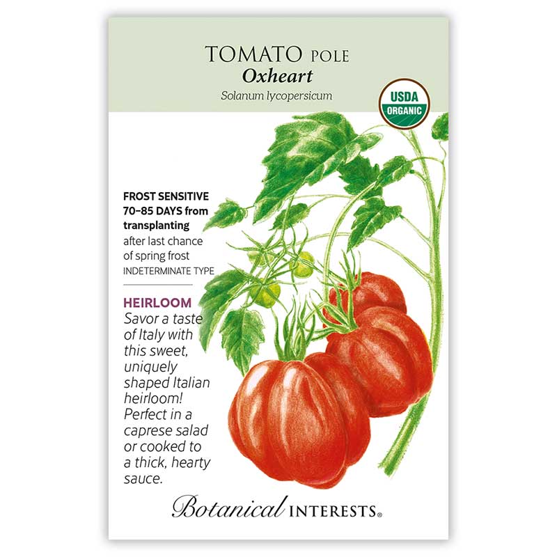 Oxheart Pole Tomato Seeds - Image 3