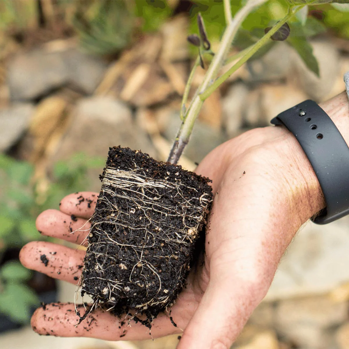 The Premium Seed Starting Kit - Image 11