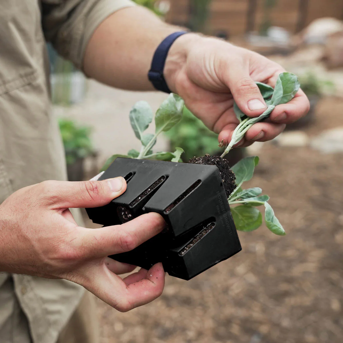 The Premium Seed Starting Kit - Image 9