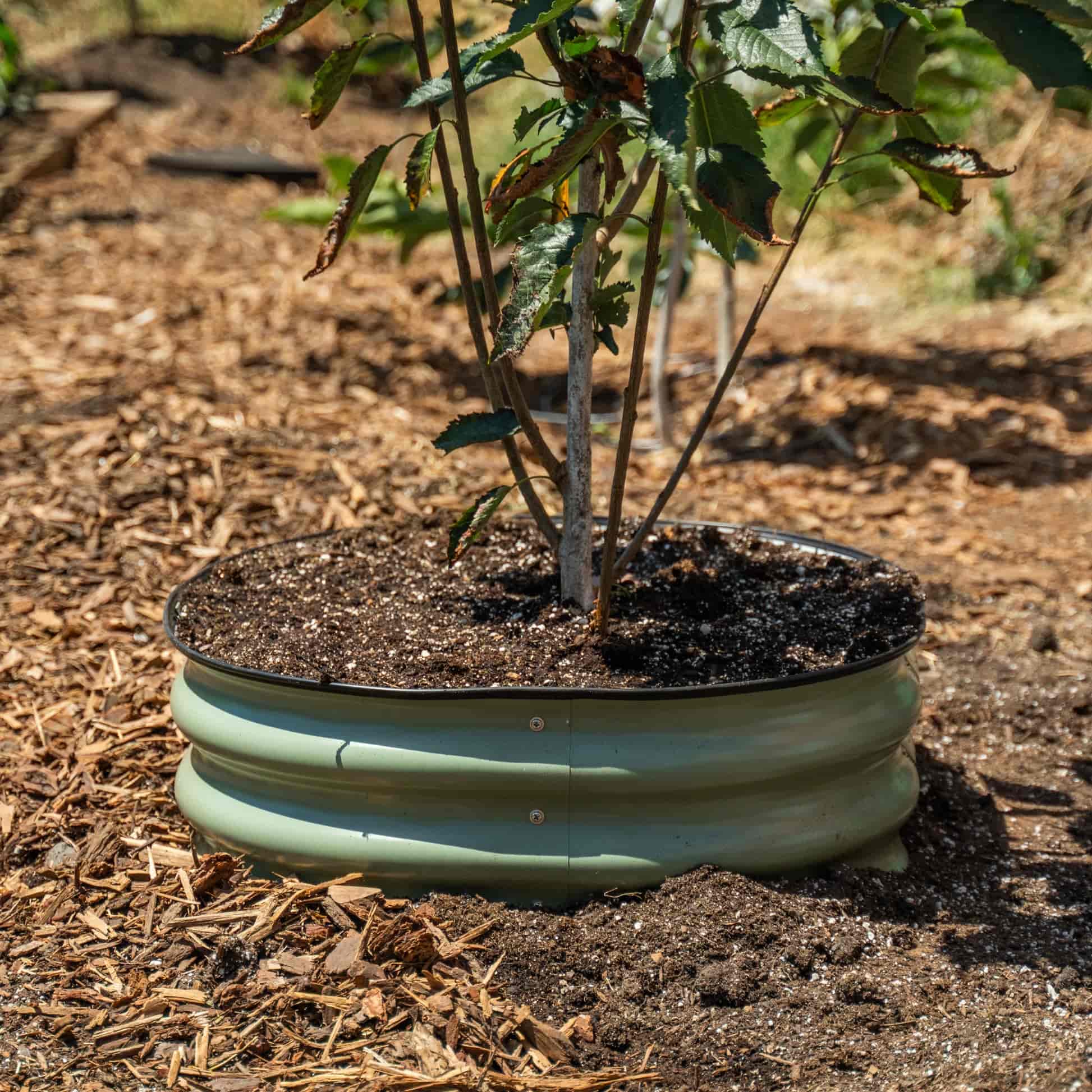 Metal Tree Surround - 8” Tall - Image 3
