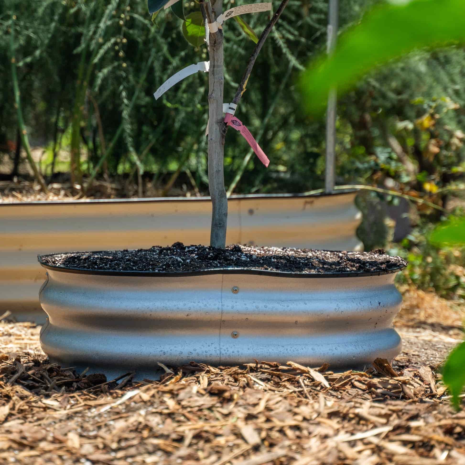 Metal Tree Surround - 8” Tall - Image 4
